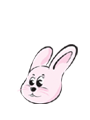 �캰 �Ǯ��